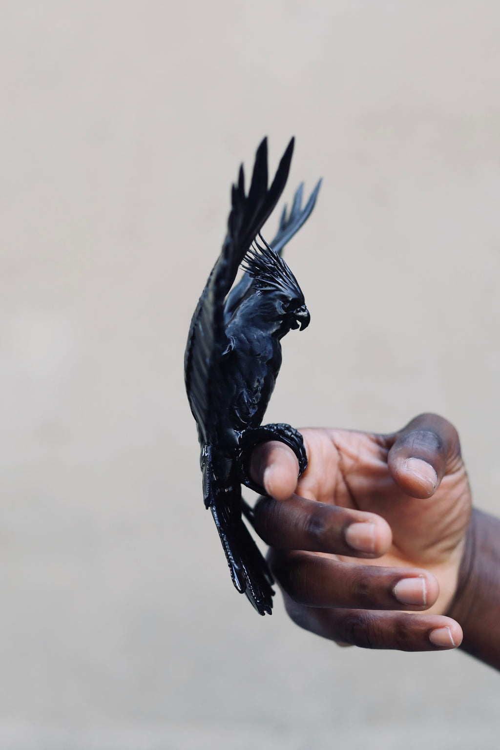 Parrot Double Ring