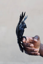 Parrot Double Ring