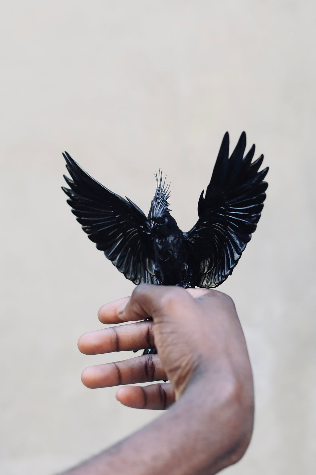 Parrot Double Ring