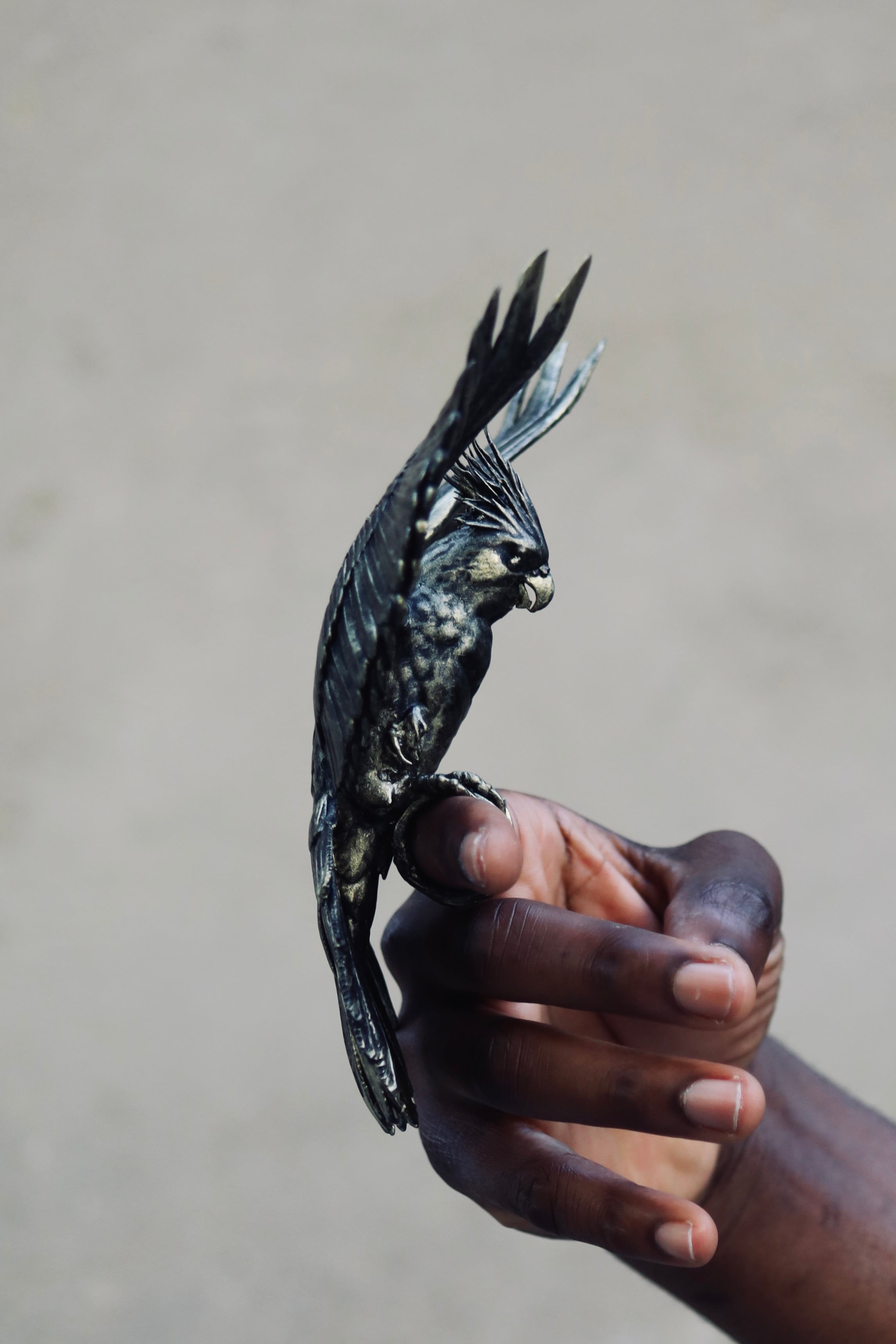 Parrot Double Ring