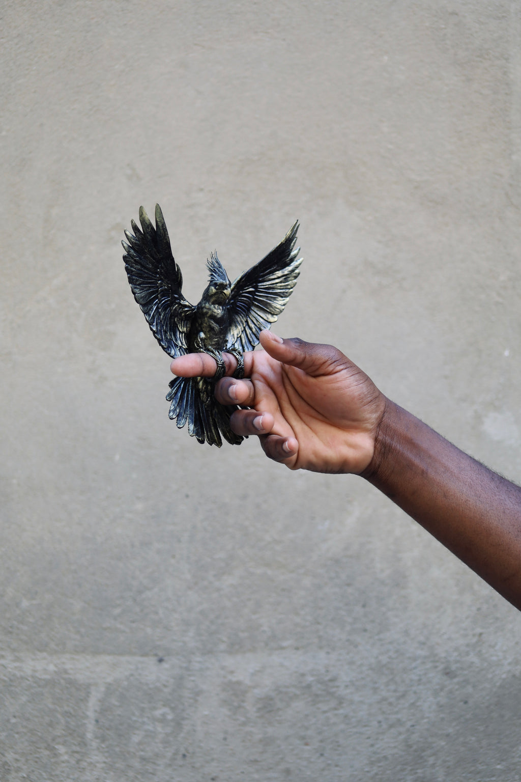 Parrot Double Ring