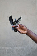 Parrot Double Ring