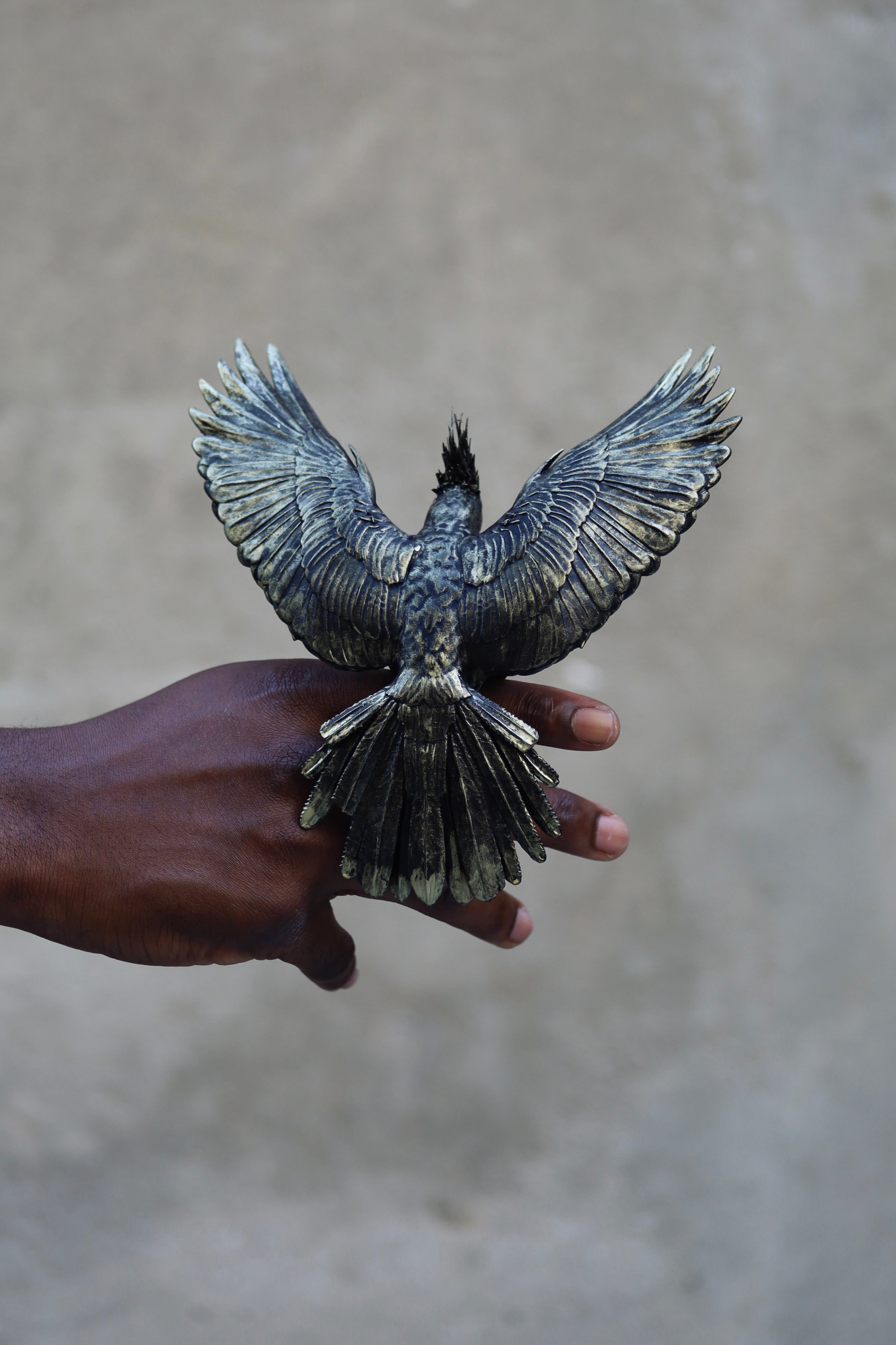 Parrot Double Ring