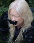 Moth Septum